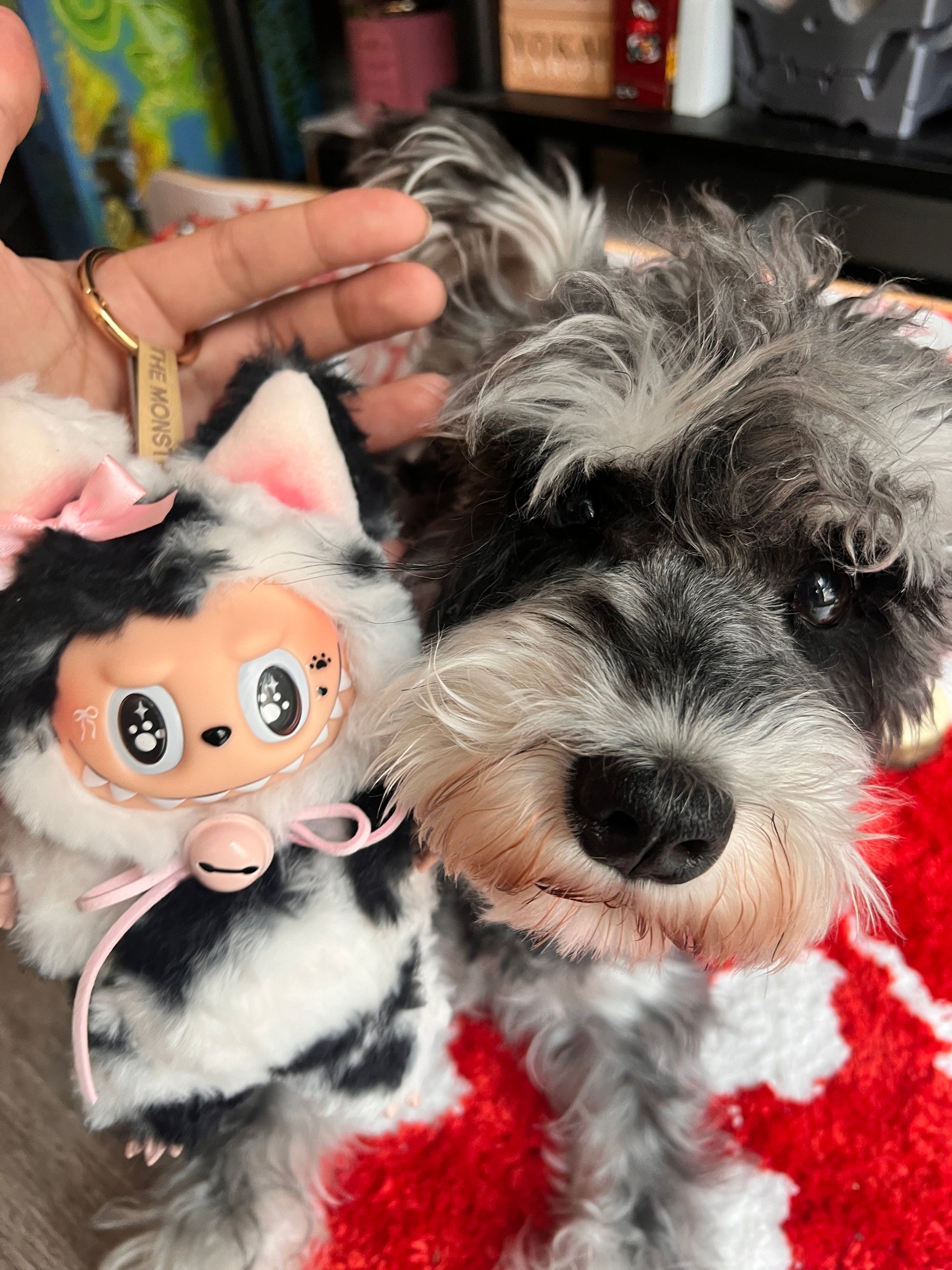 Labubu Doll Cow Cat Customized Labubu